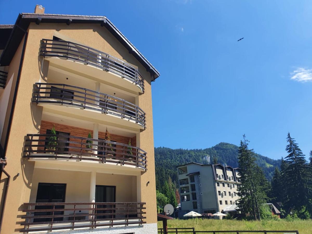 Apartament Ozon Пояна Брашов Екстериор снимка