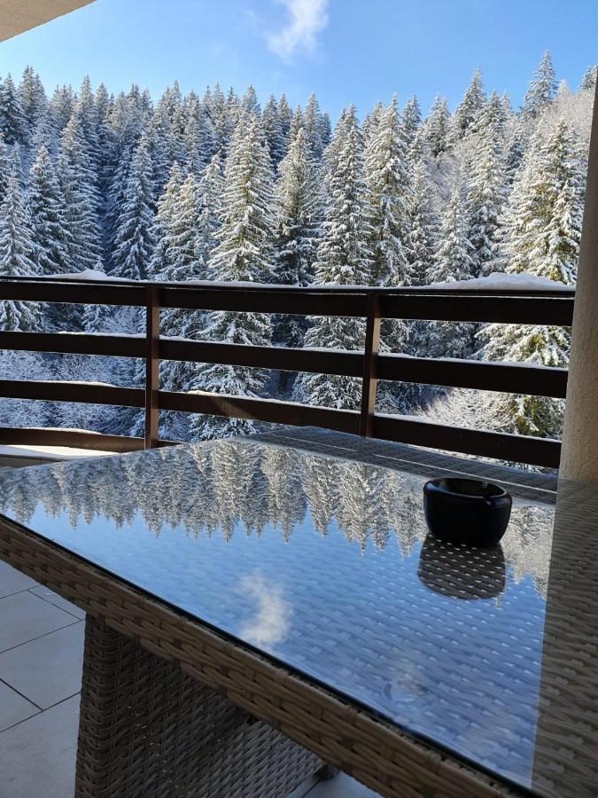 Apartament Ozon Пояна Брашов Екстериор снимка